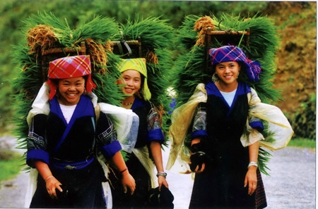 Cuộc thi ảnh “Việt Nam - Đất nước - Con người”: “Cõng mạ” đoạt giải nhất